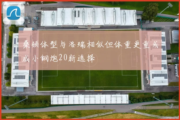 桑顿体型与洛瑞相似但体重更重或成小钢炮20新选择