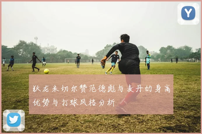 狄龙米切尔赞范德彪与麦丹的身高优势与打球风格分析